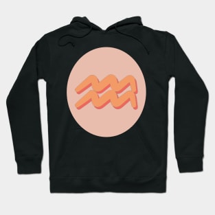 Aquarius Hoodie